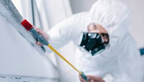 Best Pest Prevention Services  in New Square, NY